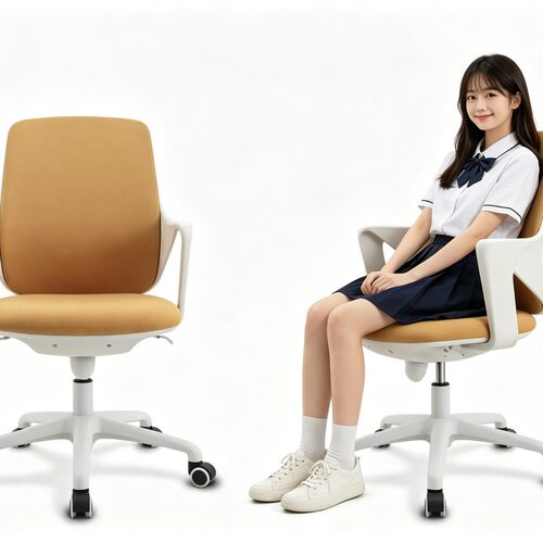 人体工学椅家用办公椅舒适久坐电脑椅座椅