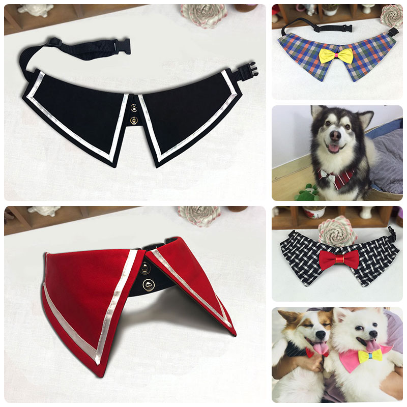 领结柯基中型犬法斗巴哥婚礼