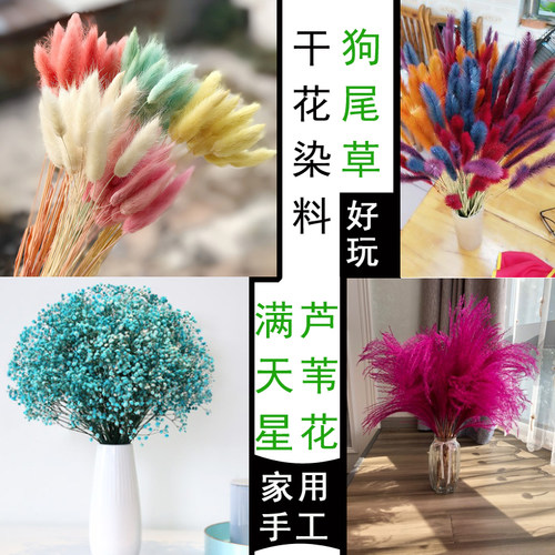 干花狗尾草叶脉木头红蛋碱性染料