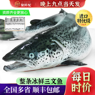 挪威进口冰鲜三文鱼一整条卖新鲜三文鱼可刺身寿司生鱼片即食水产