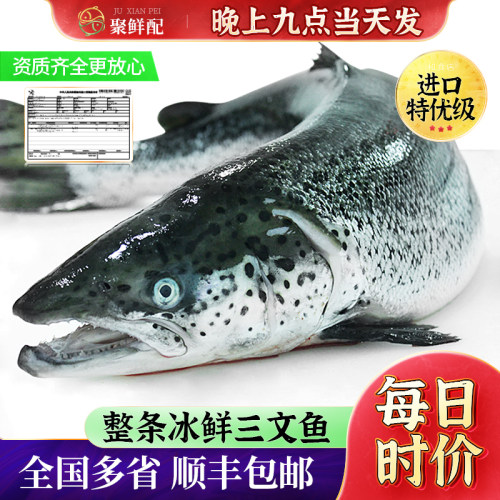 挪威进口冰鲜三文鱼整条