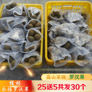 30个新果小包装 罗汉果干果大果广西桂林永福特产果干花茶传统烘烤