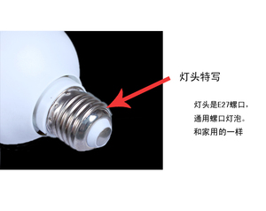 150W三基色5500K 不偏I色专业摄影灯泡 220V110V 摄影棚专用拍摄