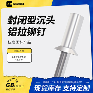 封闭型沉头抽芯铆钉 GB12616.1闭口平头铆钉封闭型沉头防水铆钉