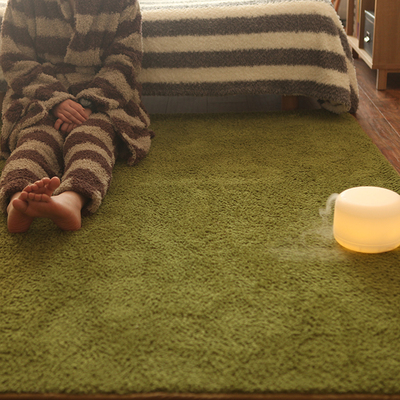 卧室短毛绒地垫地毯爬行垫草坪