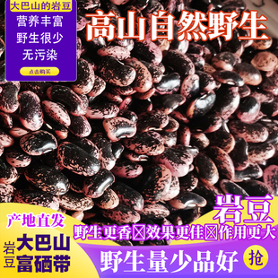 野生山里黑花芸豆四川达州万源农家土特产高山岩豆大肾牛眼豆500g