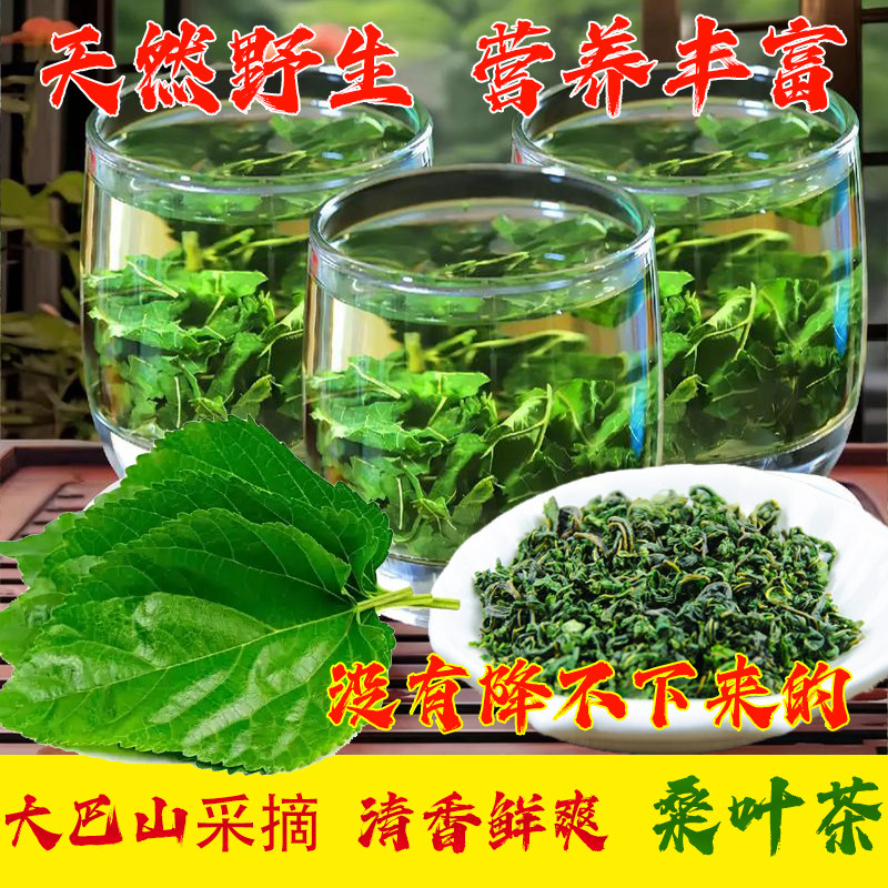 正宗大巴山天然特级新鲜霜后秋冻桑叶茶农家纯野生养生好茶中草药