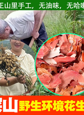 当季新货四川高山农村正宗红皮花生衣红皮无油味无哈喇花生皮600g