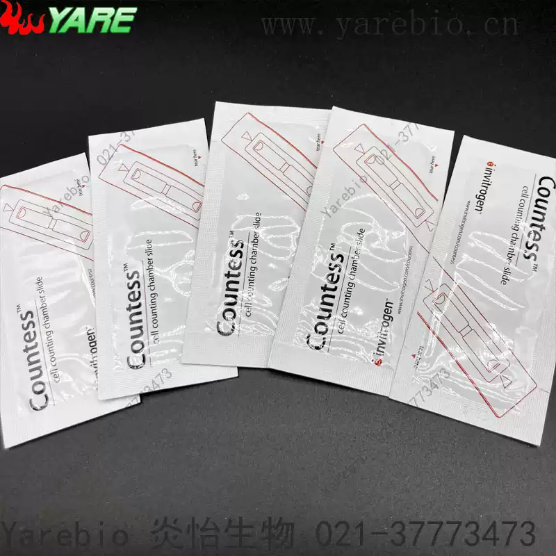 赛默飞Invitrogen Thermo Countess 细胞计数板C10283 腔室载玻片
