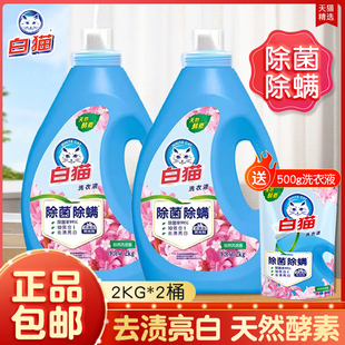 白猫无磷洗衣液除菌除螨去污渍低泡易漂自然风信香去渍亮白家用