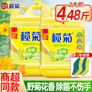 榄菊洗洁精1.12KG厨房家庭装 野菊花大瓶商用餐饮洗涤按 家用实惠装
