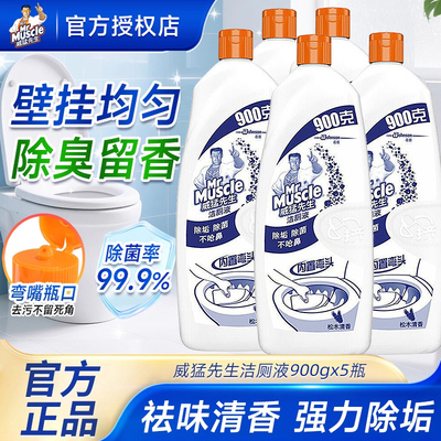 威猛先生洁厕灵900g松木清香