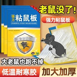 10张超强力粘鼠板捉抓粘贴驱胶药灭捕鼠夹神器克星窝端一大小老鼠