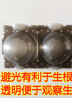 高嫁繁接植物压高殖GFM盒生根器扦插繁殖球塑料园林树木压枝生土