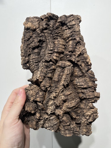 一物一拍 软木板尺寸17*24厚度4cm 送绑绳/螺丝/铝线挂钩 C27