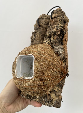 一物一拍软木板水苔球 板12*23厚度3.5cm 水苔球12.5cm送绑绳B669