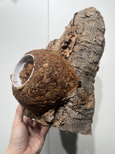 一物一拍软木板水苔球 板18.5*27cm厚9cm 水苔球15cm送绑绳B306