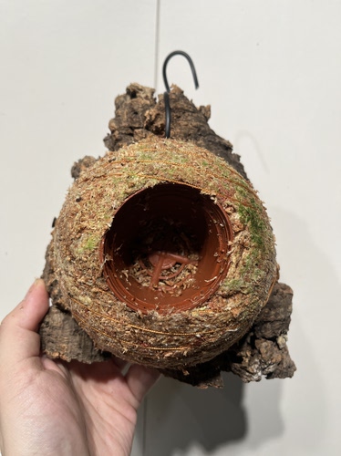 一物一拍软木板水苔球 板17*18厚度5cm 水苔球12.5cm送绑绳B658