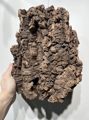 一物一拍 软木板尺寸27*30厚度7cm 送绑绳/螺丝/铝线挂钩 C25