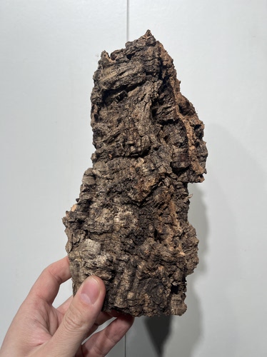 一物一拍 软木板尺寸12*22厚度5cm 送绑绳/螺丝/铝线挂钩 C15