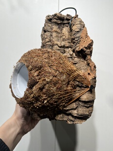 水苔球14.5cm送绑绳B378 22厚度4.5cm 一物一拍软木板水苔球 板20