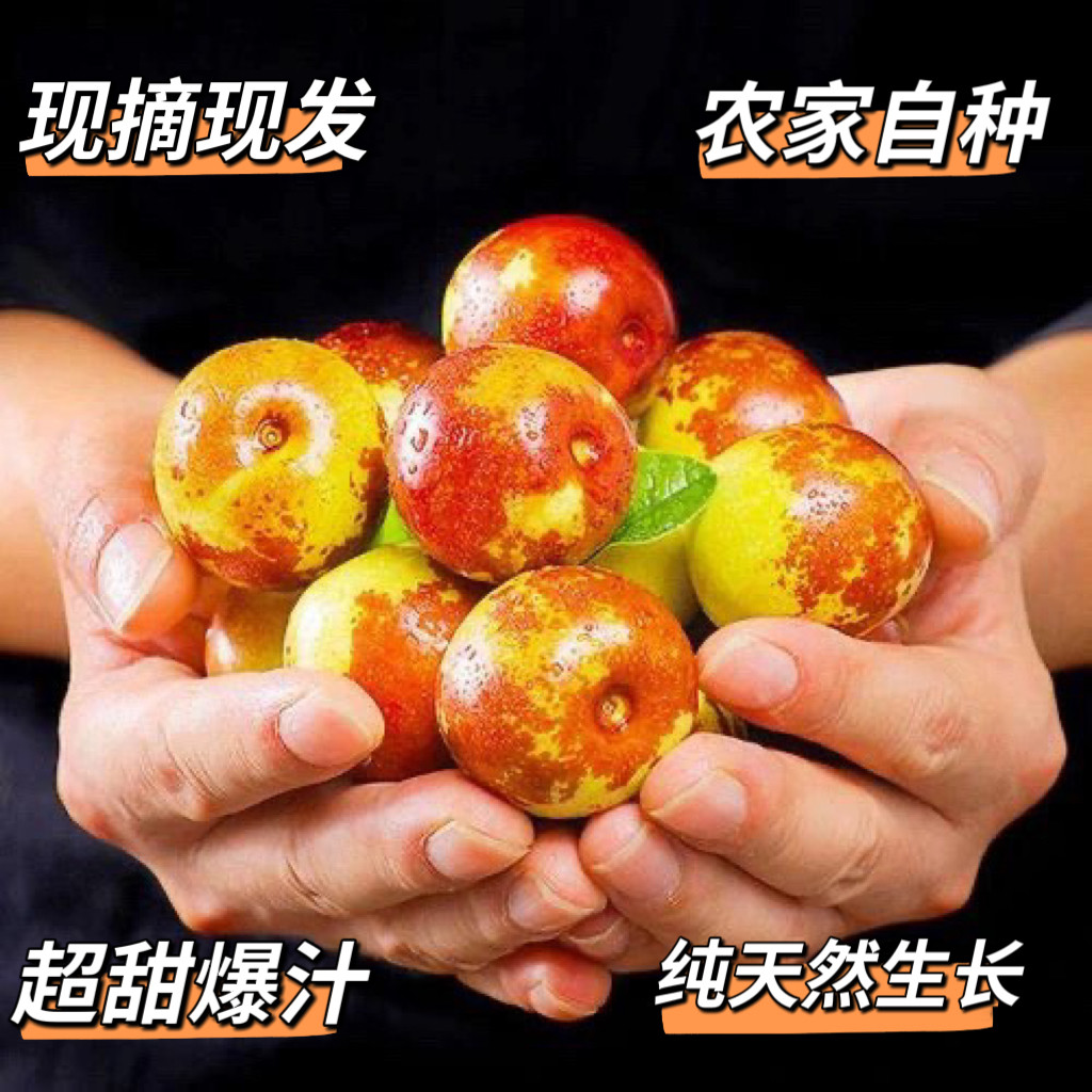 [农家自种】山西冬枣现摘新鲜长艳牌脆甜时令孕妇鲜枣正宗原生态
