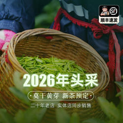 2026新茶莫干黄芽明前茶新茶浓香型高山茶云雾绿茶嫩芽50g