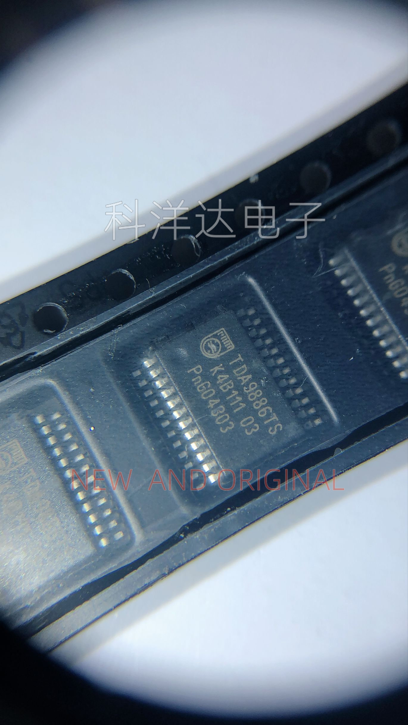 TDA9886TS   TDA9886TS/V3  TDA9886TS/V4  TDA9886TS/V5  SSOP24