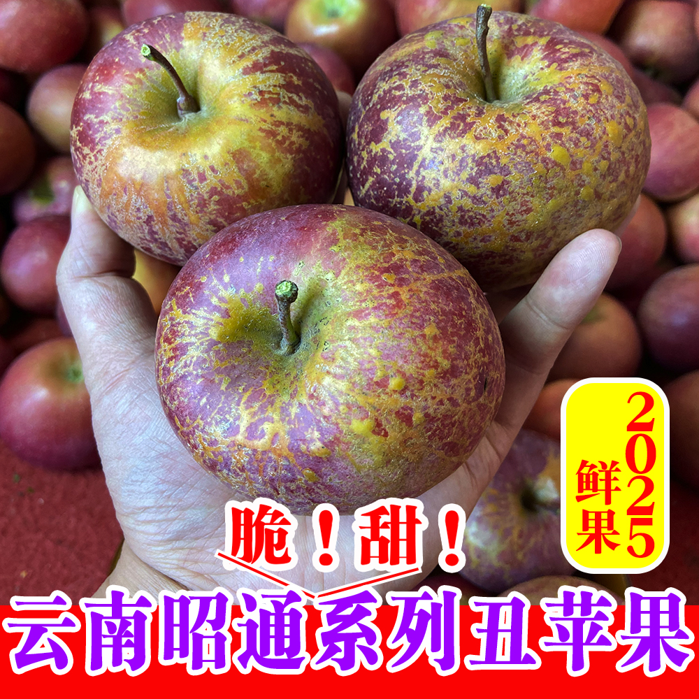 现摘正宗云南昭通苹果孕妇水果