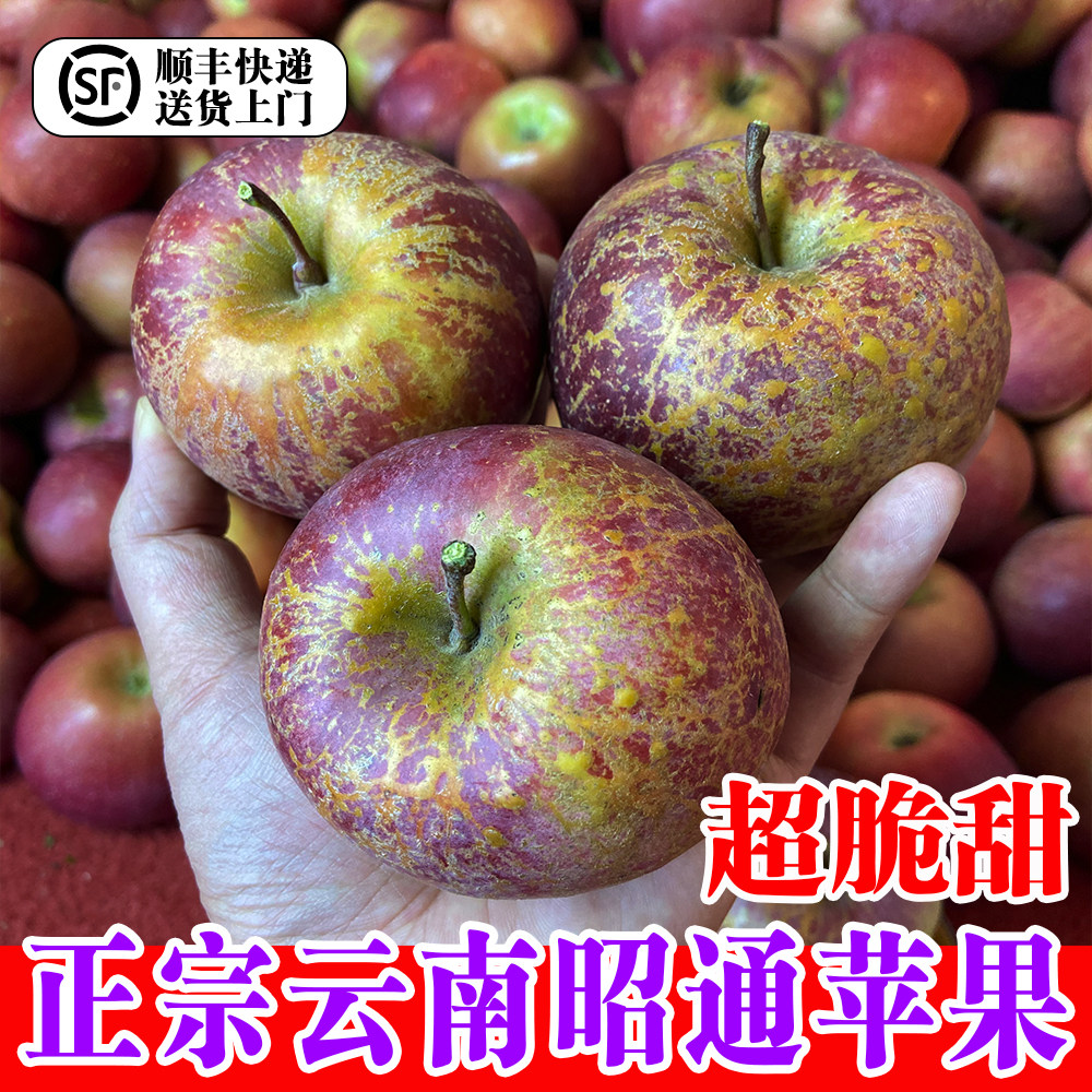 【顺丰送货上门】云南昭通丑苹果水果邵通冰糖心新鲜脆甜孕妇水果,水产肉类/新鲜蔬果/熟食,苹果,淘宝优惠券,粉丝福利购,淘宝优惠卷