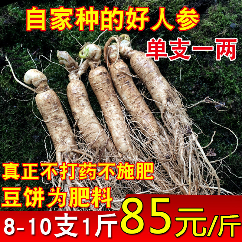 500g鲜人参东北长白山吉林泡酒新鲜参整枝人参煲汤泡酒带土鲜参