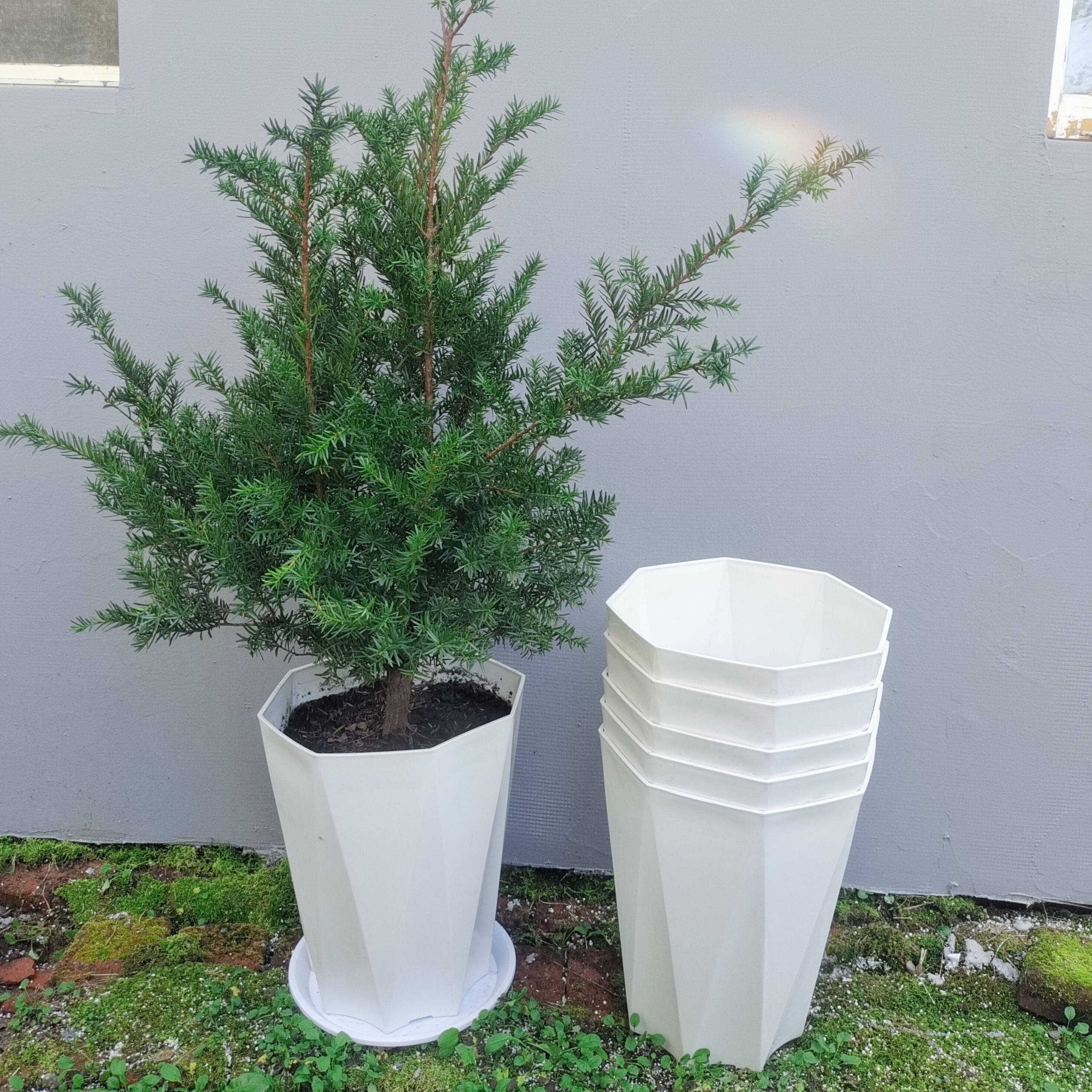 红豆杉适用盆树脂花盆塑料颜值客厅大口径绿植加厚盆栽瓷白色花盆,鲜花速递/花卉仿真/绿植园艺,花盆,淘宝优惠券,粉丝福利购,淘宝优惠卷