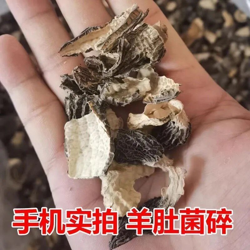 川西高山羊肚菌破损碎片特价菌菇新货捡漏干货煲汤清仓(碎片慎拍)