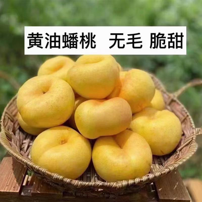 黄油桃黄心黄肉北京平谷油蟠桃新鲜水果应季脆甜多汁现摘现发顺丰