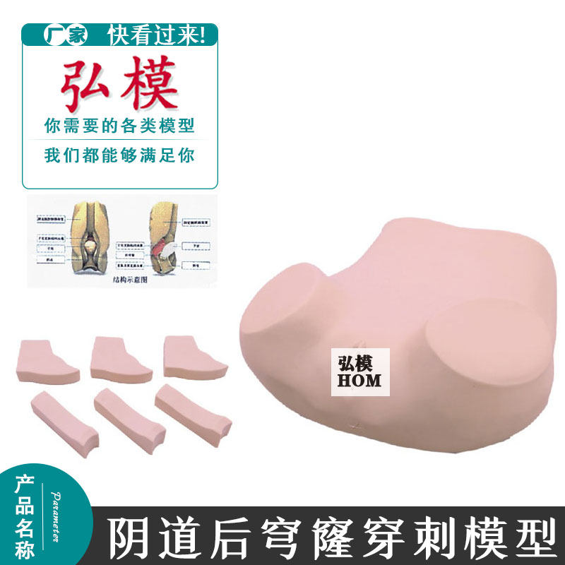 弘模阴道后穹窿穿刺模型常规穿刺解剖位置准确妇科检查指导模型