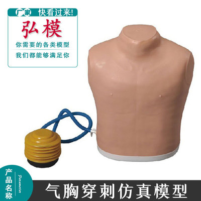 气胸处理模型穿刺淋巴结弘模仿真