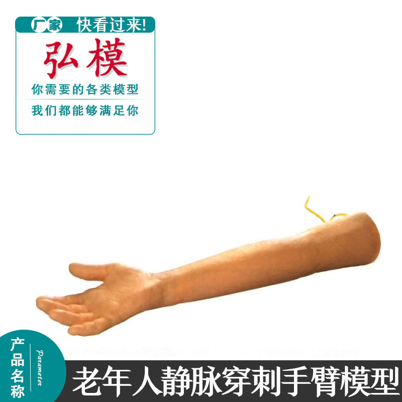 老年人静脉穿刺弘模训练手臂模型