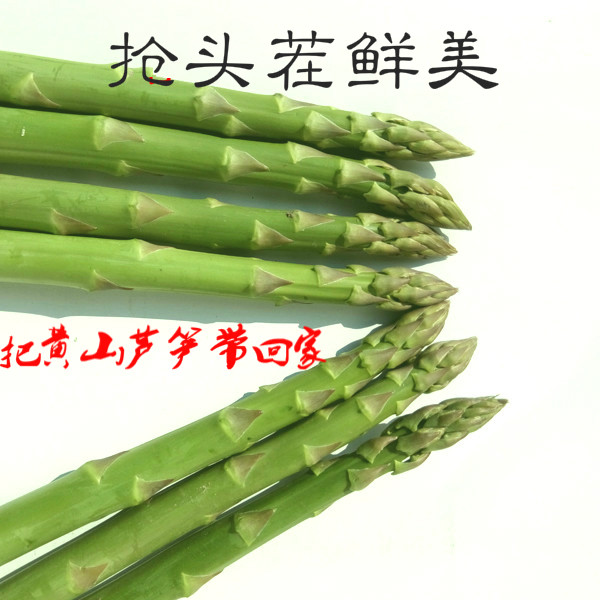 新鲜现货500g黄山顺丰包邮芦笋