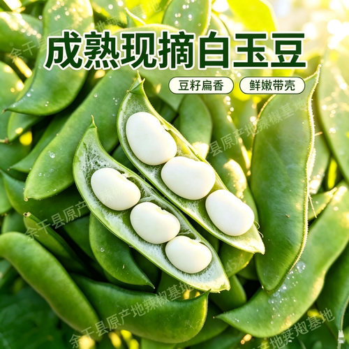 3斤白玉豆新鲜现摘 农家上饶特产洋扁豆带壳1斤白扁豆夹应季蔬菜