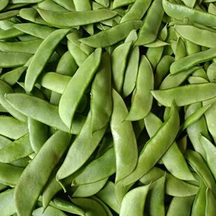 带壳白玉豆新鲜现摘 农家上饶特产崇明洋扁豆带壳白扁豆夹白芸豆
