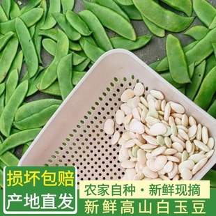 3斤白玉豆新鲜现摘 农家上饶特产洋扁豆带壳1斤白扁豆夹应季蔬菜