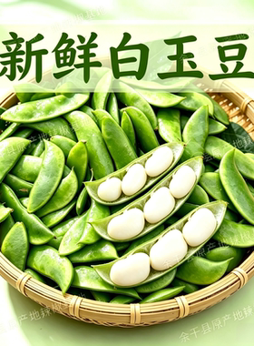 农家白玉豆新鲜现摘 农家上饶特产崇明洋扁豆带壳白扁豆夹