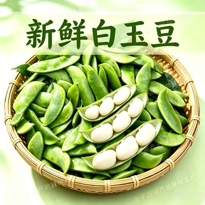 农家白玉豆新鲜现摘 农家上饶特产崇明洋扁豆带壳白扁豆夹
