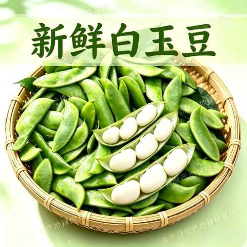 农家白玉豆新鲜现摘 农家上饶特产崇明洋扁豆带壳白扁豆夹