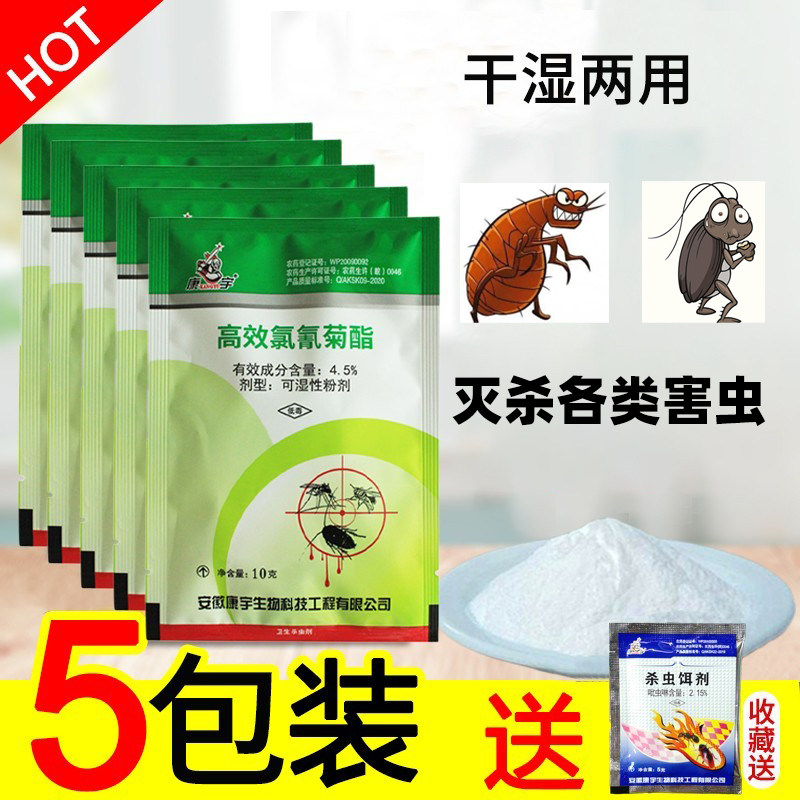 5包康宇床上用臭虫药粉杀虫剂家用灭杀大小蟑螂克星宿舍血吸虫药