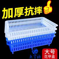海鲜池大号花甲盒贝壳盒水产菜场吐沙花蛤塑料筐掉沙漏沙篮子筐子