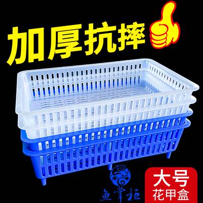 海鲜池大号花甲盒贝壳盒水产菜场吐沙花蛤塑料筐掉沙漏沙篮子筐子