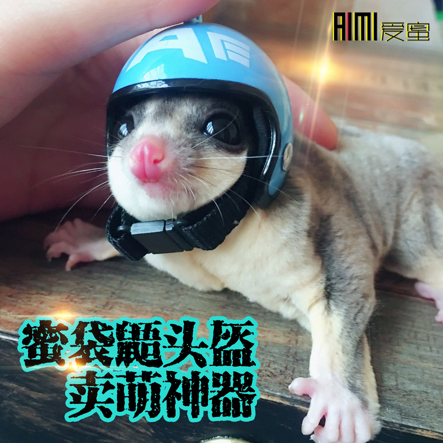 蜜袋鼯迷你帽子玩具用品