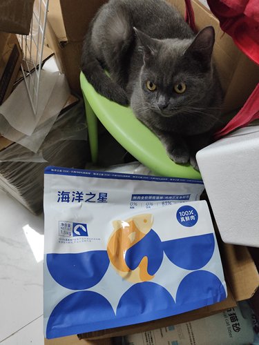 鸡肉三文鱼草莓鸡优质鲜肉低温烘焙猫粮营养健康宠物猫粮
