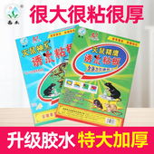 春禾正品 粘鼠板老鼠贴加大加厚特大号灭鼠神器神龙灭鼠精鹰粘老鼠